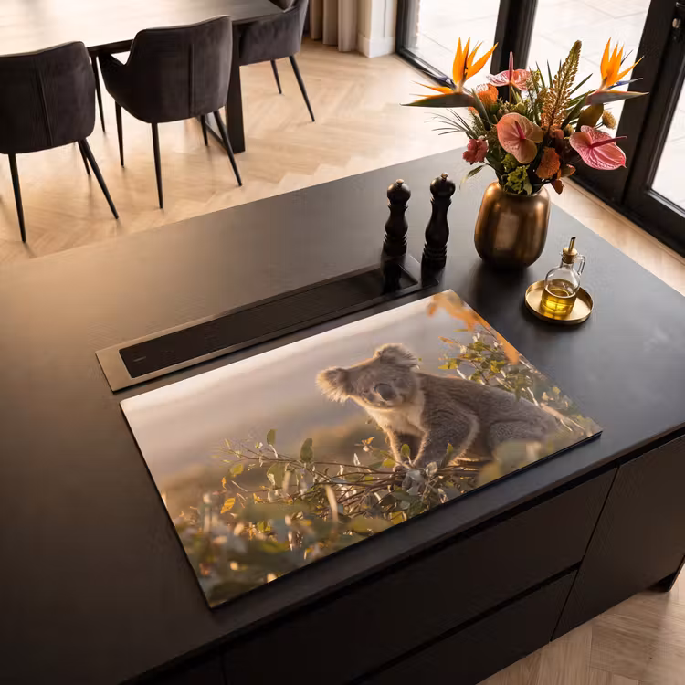 Inductie beschermer - Koala - Bladeren - Ochtendlicht — 3
