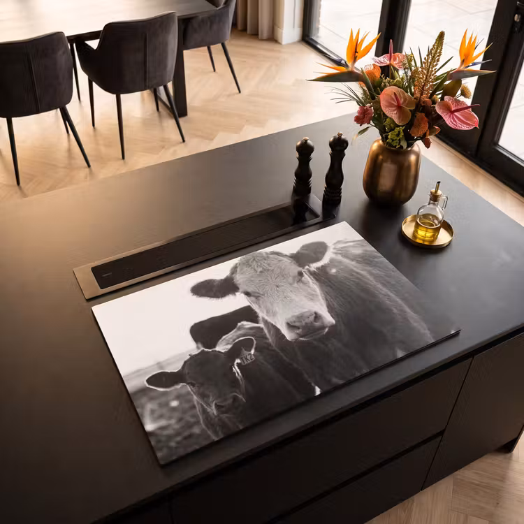Inductie beschermer - Koeien - Zwart - Wit — 3