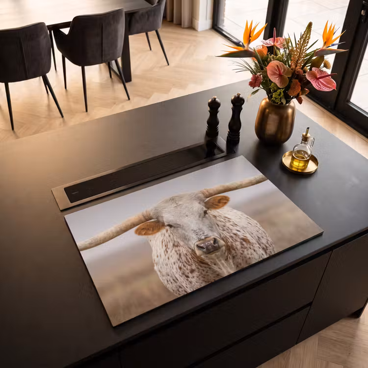 Inductie beschermer - Longhorn - Grasveld - Dier — 3
