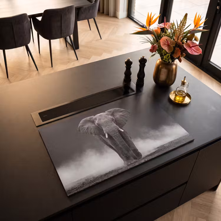 Inductie beschermer - Olifant - Zwart - Wit - Rook — 3