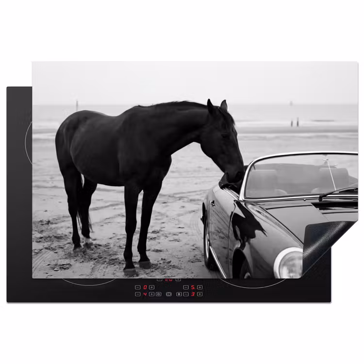 Inductie beschermer - Paard - Auto - Zwart - Wit — 2