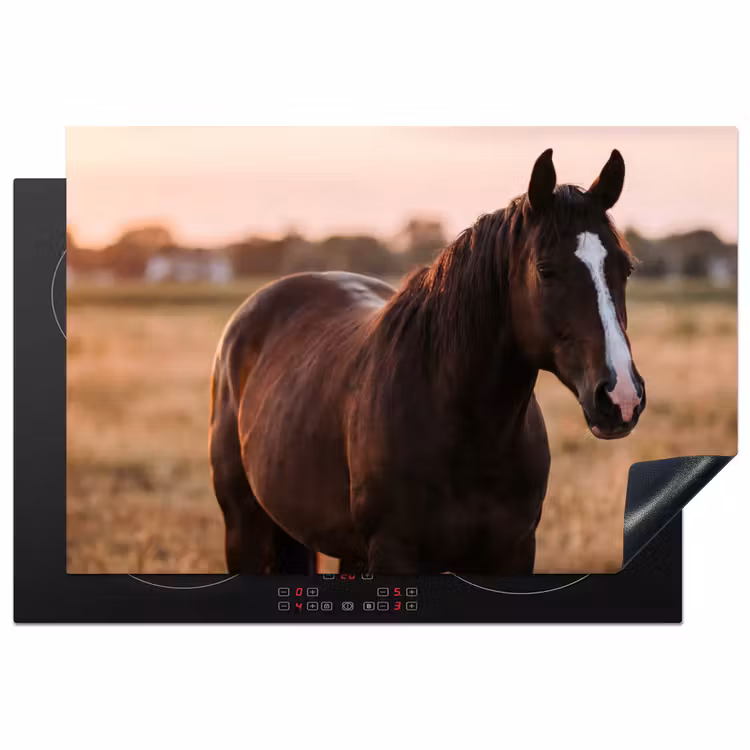 Inductie beschermer - Paard - Zonsondergang - Bruin — 2