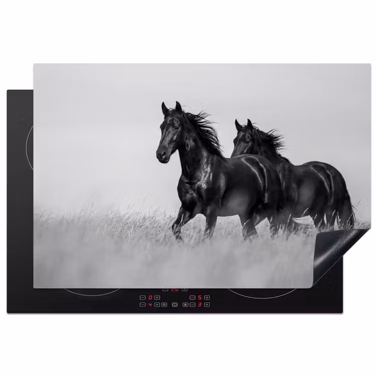 Inductie beschermer - Paarden - Gras - Zwart - Wit — 2