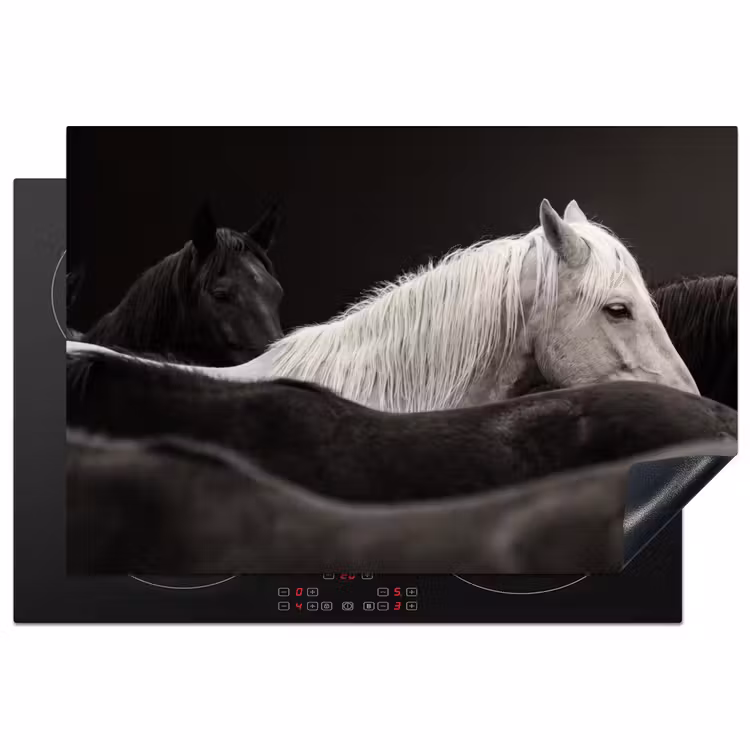 Inductie beschermer - Paarden - Zwart - Wit - Kudde — 1