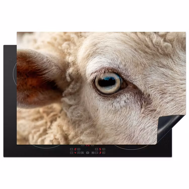 Inductie beschermer - Schaap - Oog - Wit — 2