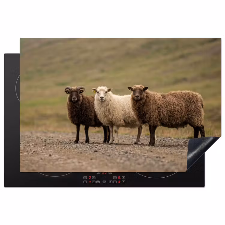 Inductie beschermer - Schapen - Bruin - Wit - Grindpad — 2