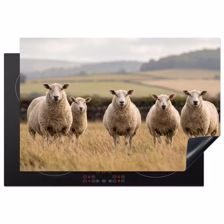 Inductie beschermer - Schapen - Weidenlandschap - Heuvels — 1