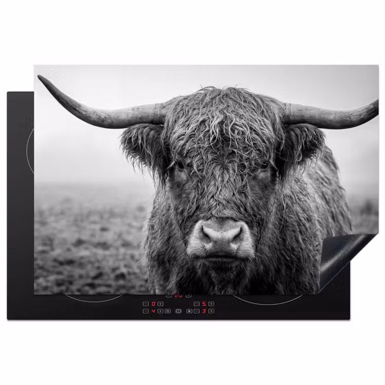 Inductie beschermer - Schotse hooglander - Zwart - Wit - Gras — 2