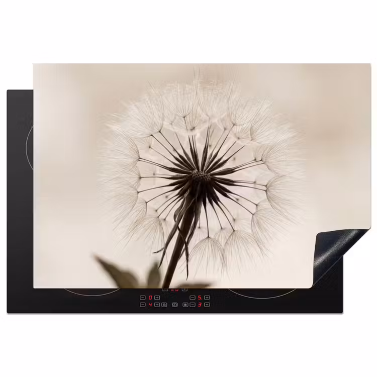 Inductie beschermer - Paardenbloem - Minimalistisch - Wit — 2