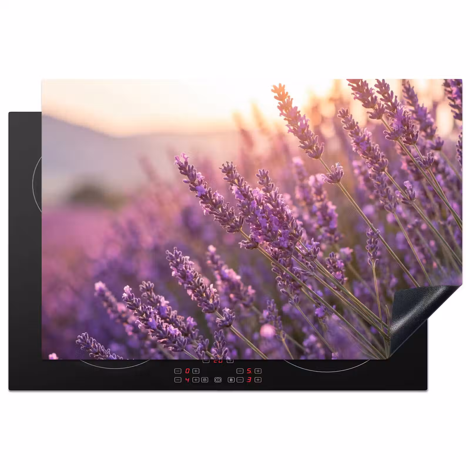 Inductie beschermer - Lavendel - Paars - Zonlicht — 1