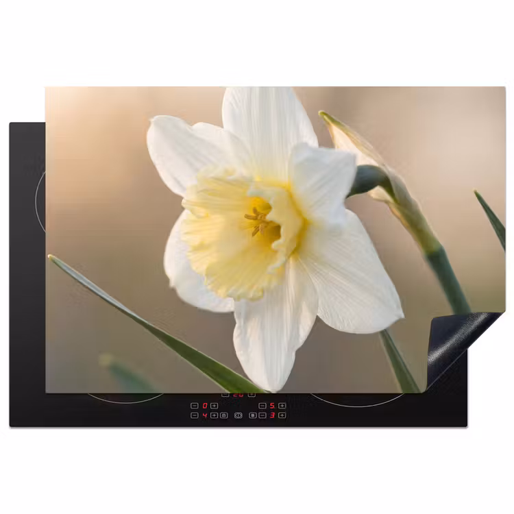 Inductie beschermer - Narcis - Bloem - Minimalistisch — 1