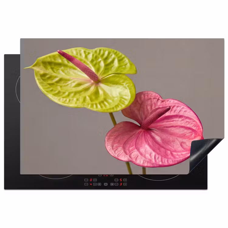 Inductie beschermer - Planten - Anthurium - Groen - Roze — 2