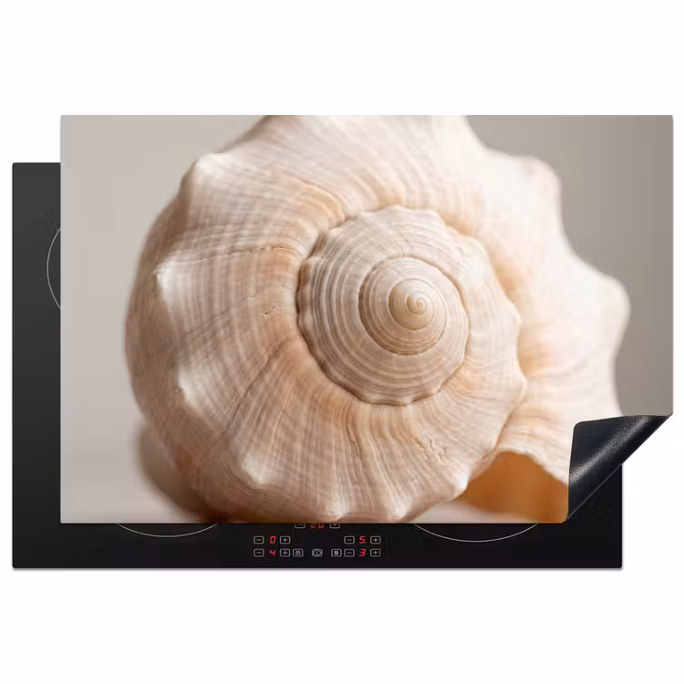 Inductie beschermer - Schelp - Detail - Beige — 2