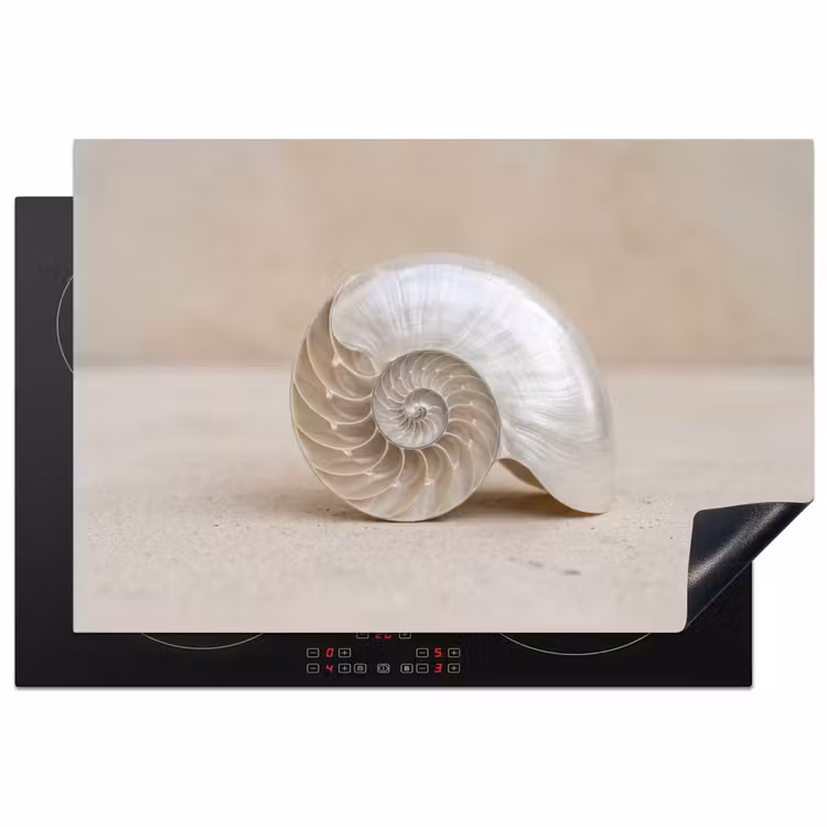 Inductie beschermer - Schelp - Spiraal - Beige — 1