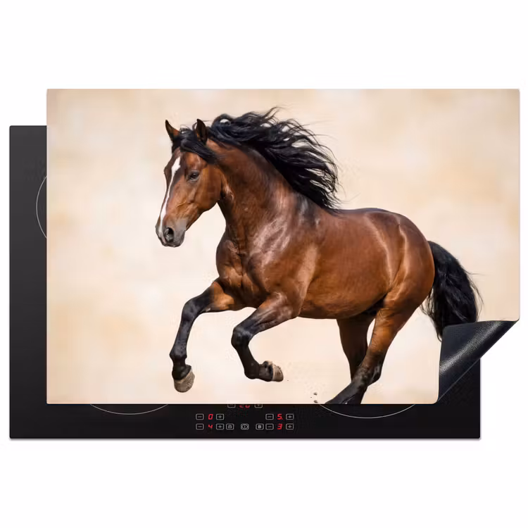 Inductie beschermer - Paard - Galop - Energie — 2