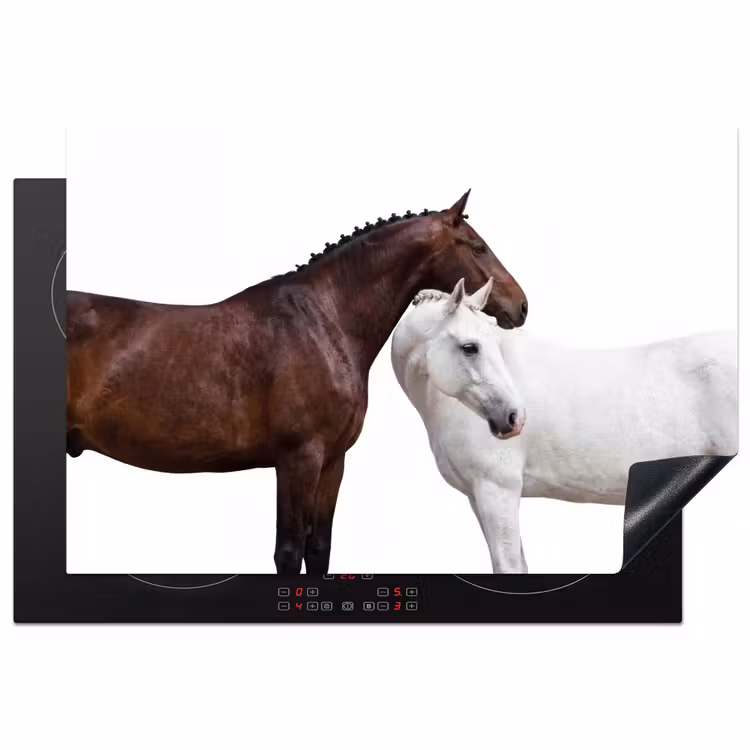 Inductie beschermer - Paard - Modern - Balans — 2