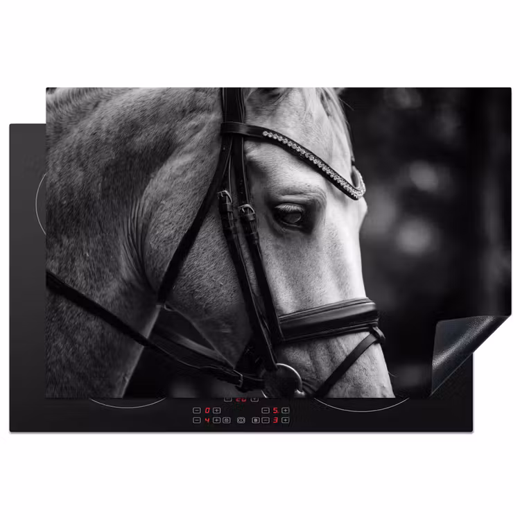 Inductie beschermer - Paard - Schimmel - Portret — 2