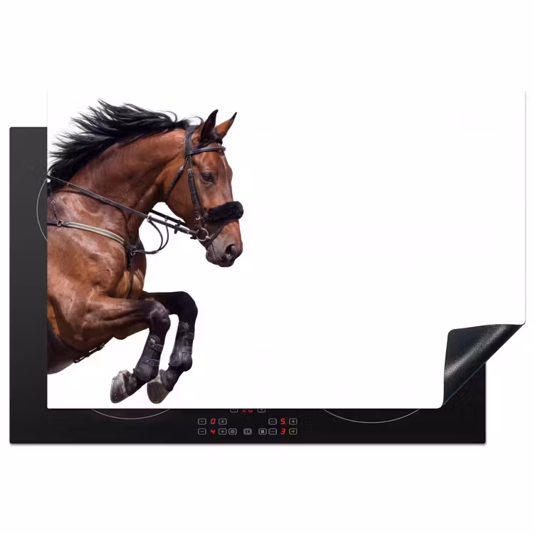 Inductie beschermer - Paard - Springen - Modern — 1