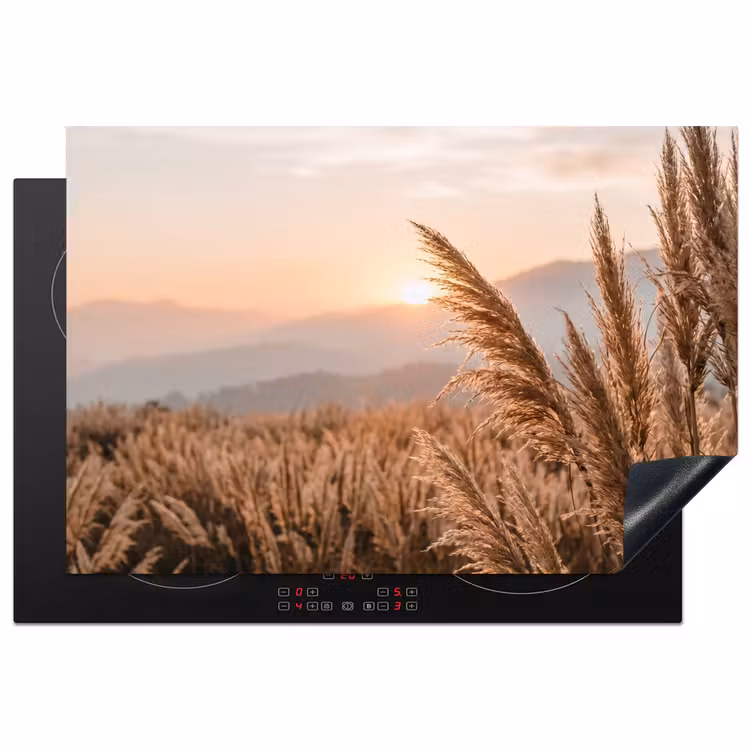 Inductie beschermer - Gras - Veld - Zon - Natuur — 2