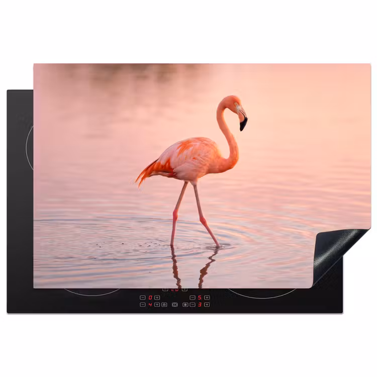 Inductie beschermer - Flamingo - Water - Roze — 2