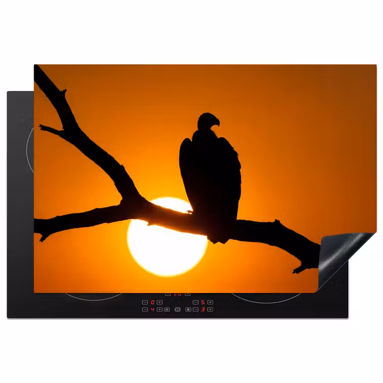 Inductie beschermer - Gier - Tak - Zon - Oranje — 2