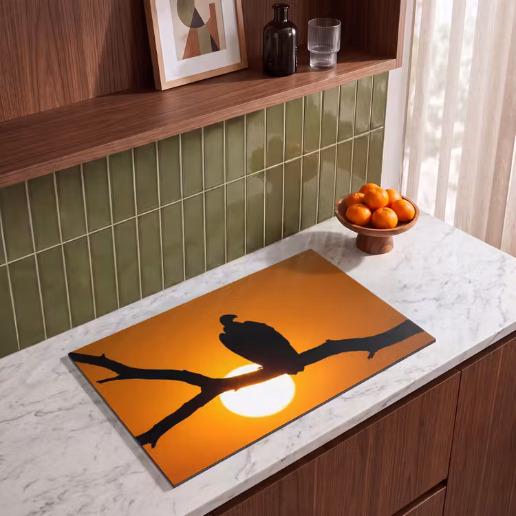 Inductie beschermer - Gier - Tak - Zon - Oranje — 4