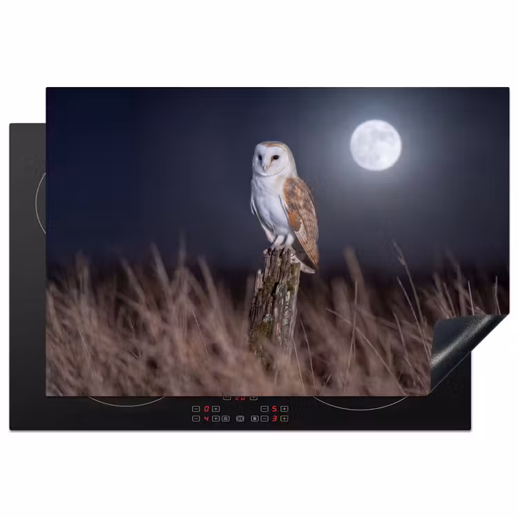 Inductie beschermer - Kerkuil - Maan - Nacht — 2