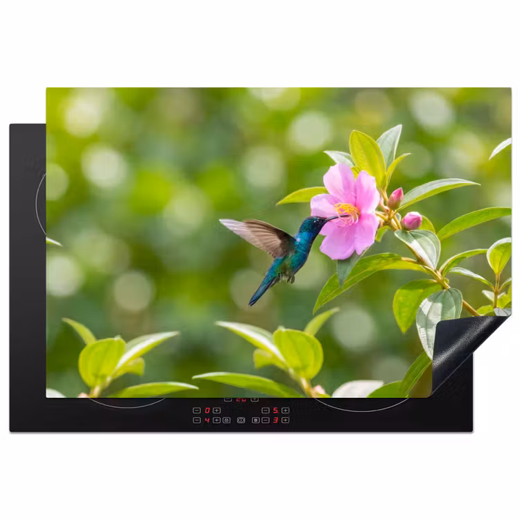 Inductie beschermer - Kolibrie - Bloem - Natuur - Groen — 2