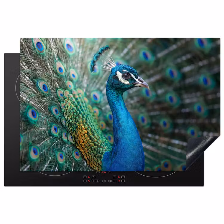 Inductie beschermer - Pauw - Veren - Blauw — 2
