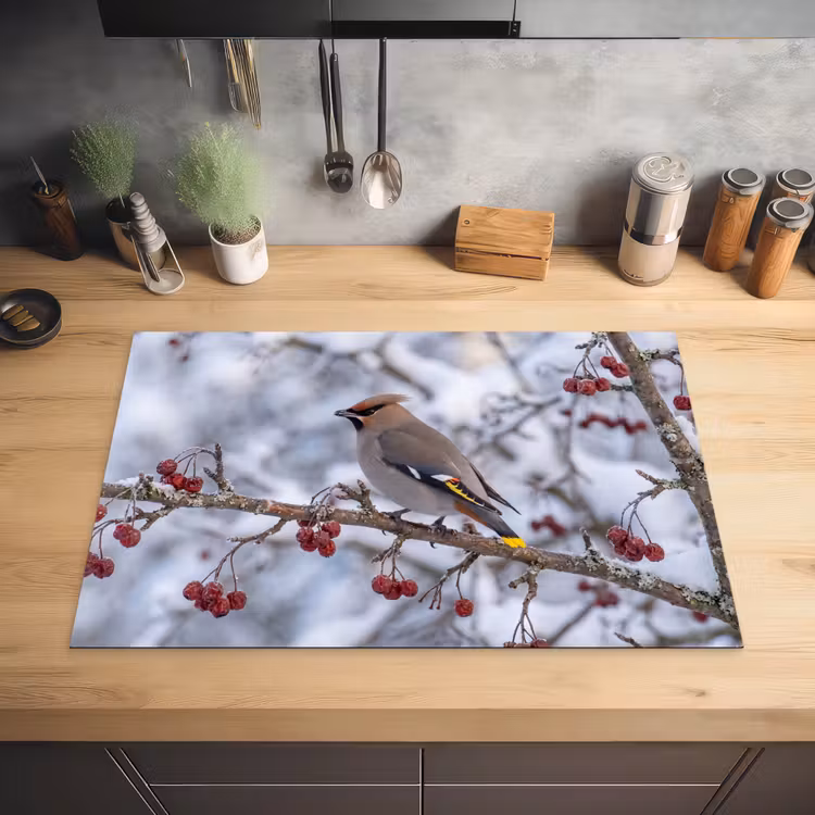 Inductie beschermer - Pestvogel - Bessen - Winter - Natuur — 3