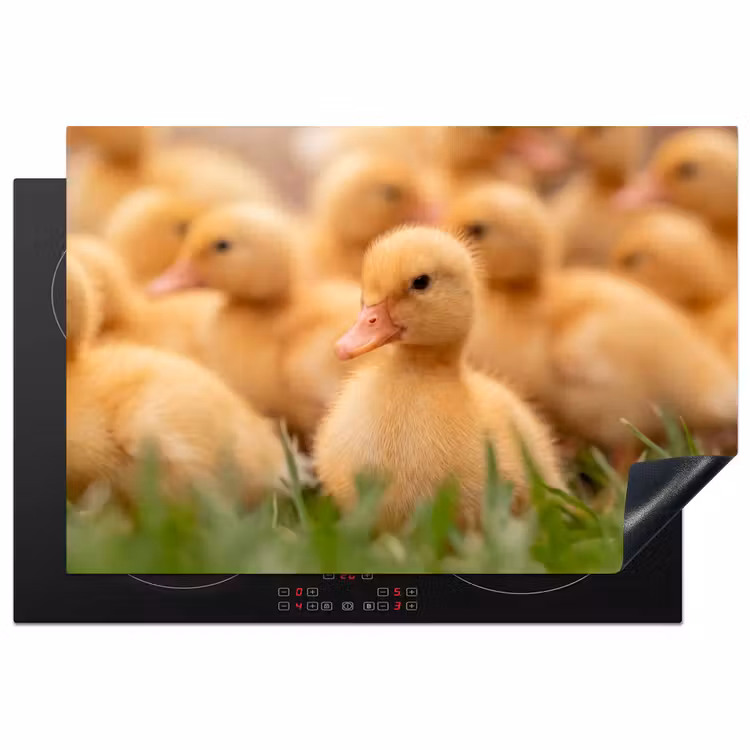 Inductie beschermer - Pijltje - Eend - Natuur - Geel — 2