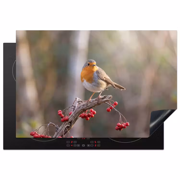 Inductie beschermer - Roodborst - Tak - Bessen - Natuur — 2