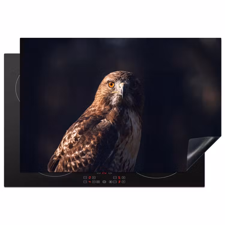 Inductie beschermer - Roofvogel - Buizerd - Bruin — 2