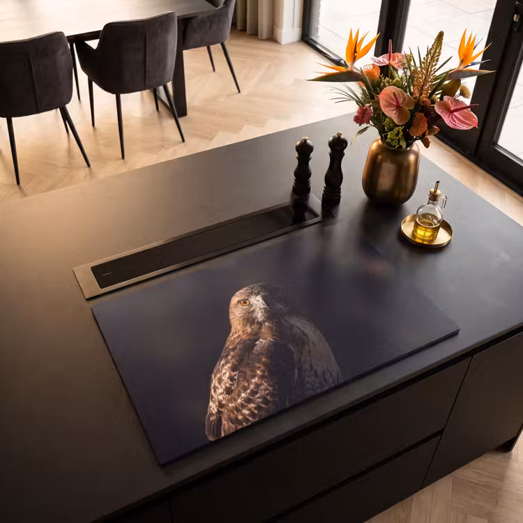Inductie beschermer - Roofvogel - Buizerd - Bruin — 3