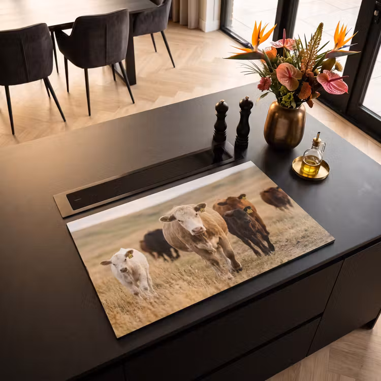 Inductie beschermer - Runderen - Kudde - Landschap - Weide - Rustig — 3
