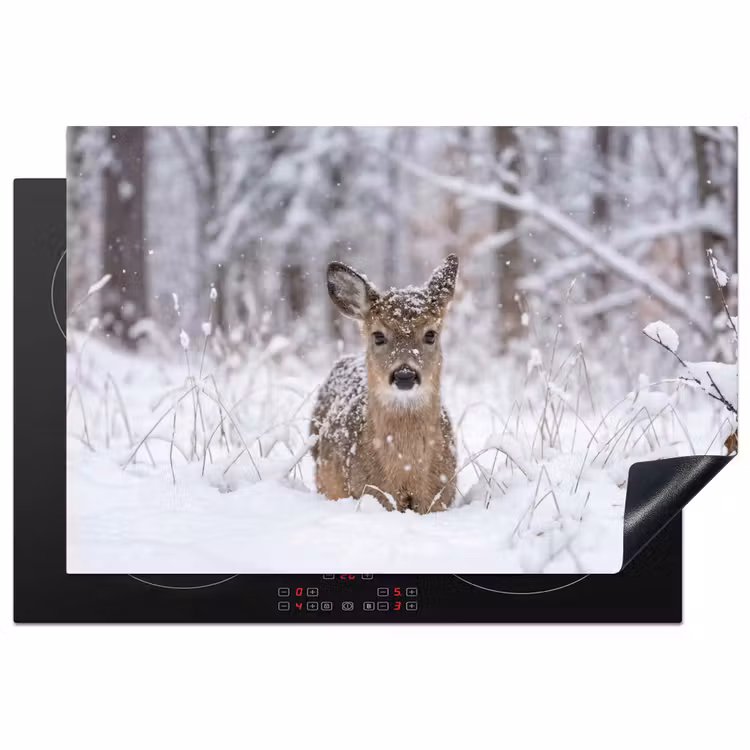 Inductie beschermer - Hert - Sneeuw - Bos - Dieren - Vertederend — 2