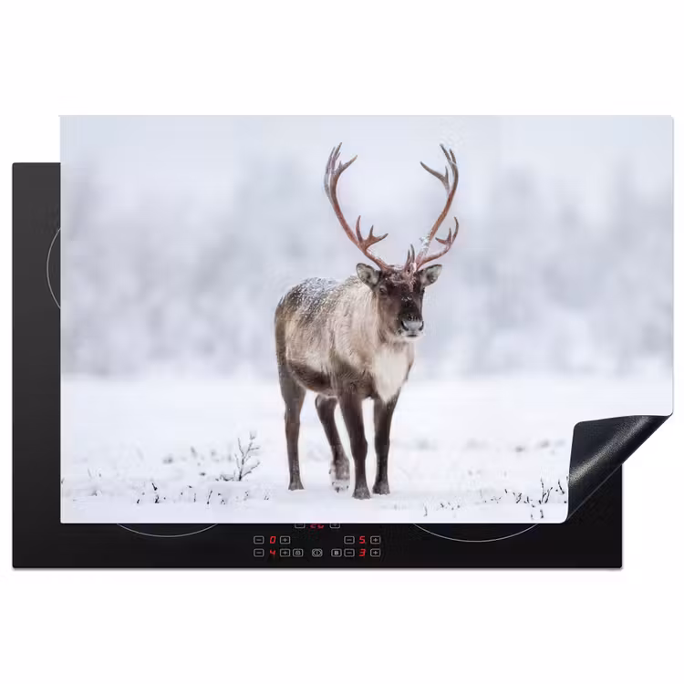 Inductie beschermer - Rendier - Gewei - Toendra - Sneeuw - Wild — 2