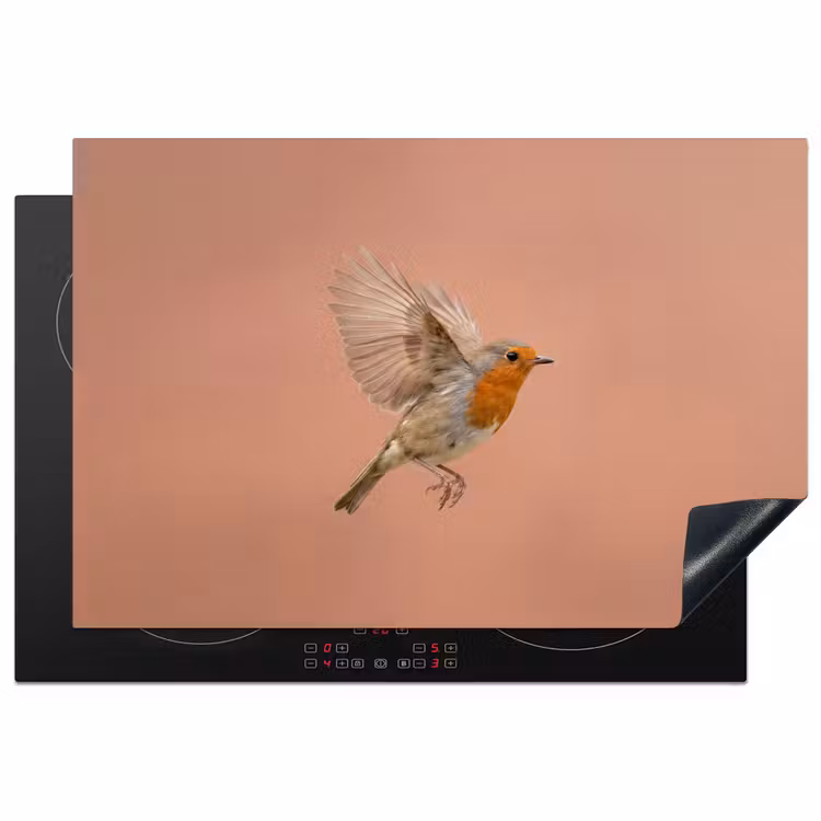 Inductie beschermer - Roodborst - Natuur - Roze — 1