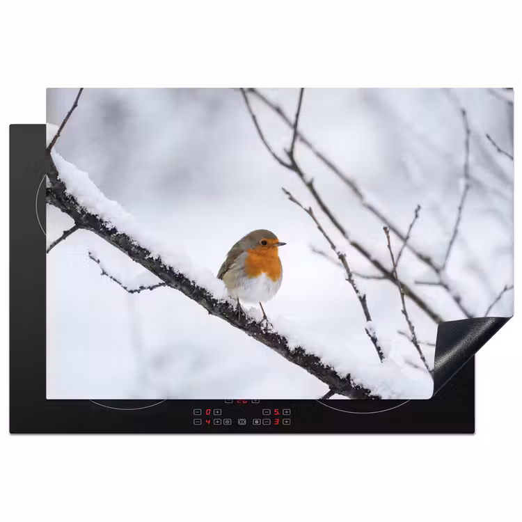 Inductie beschermer - Roodborstje - Tak - Sneeuw - Winter - Levendig — 2