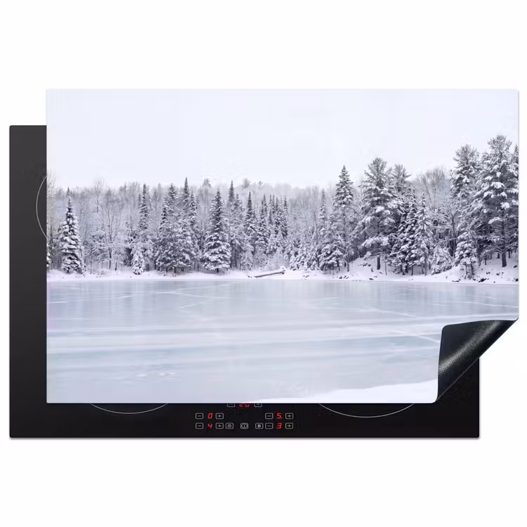 Inductie beschermer - Meer - Dennen - IJs - Winter - Rustgevend — 2