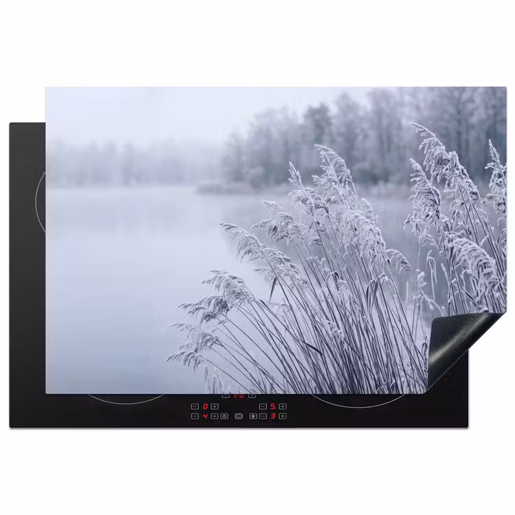 Inductie beschermer - Riet - Bevroren - Winter - Natuur — 2