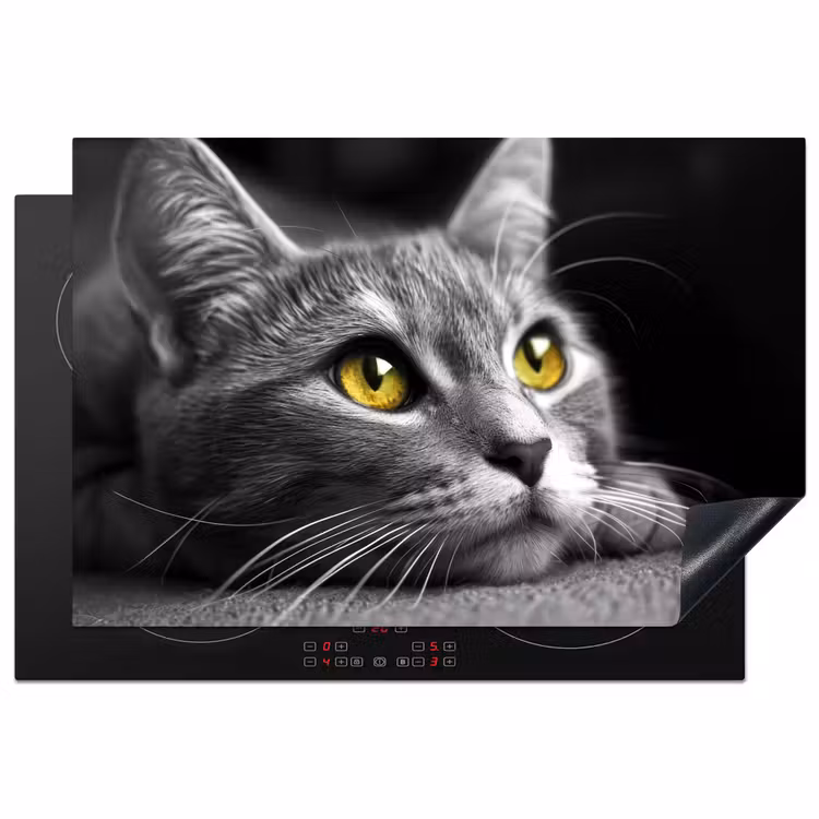 Inductie beschermer - Kat - Grijs - Dieren - Poes — 2