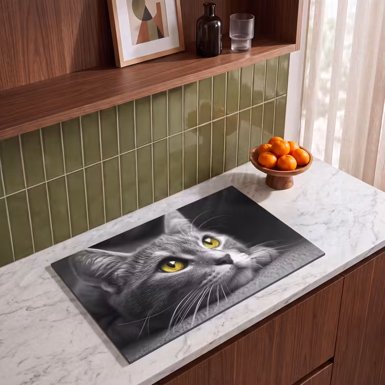 Inductie beschermer - Kat - Grijs - Dieren - Poes — 4