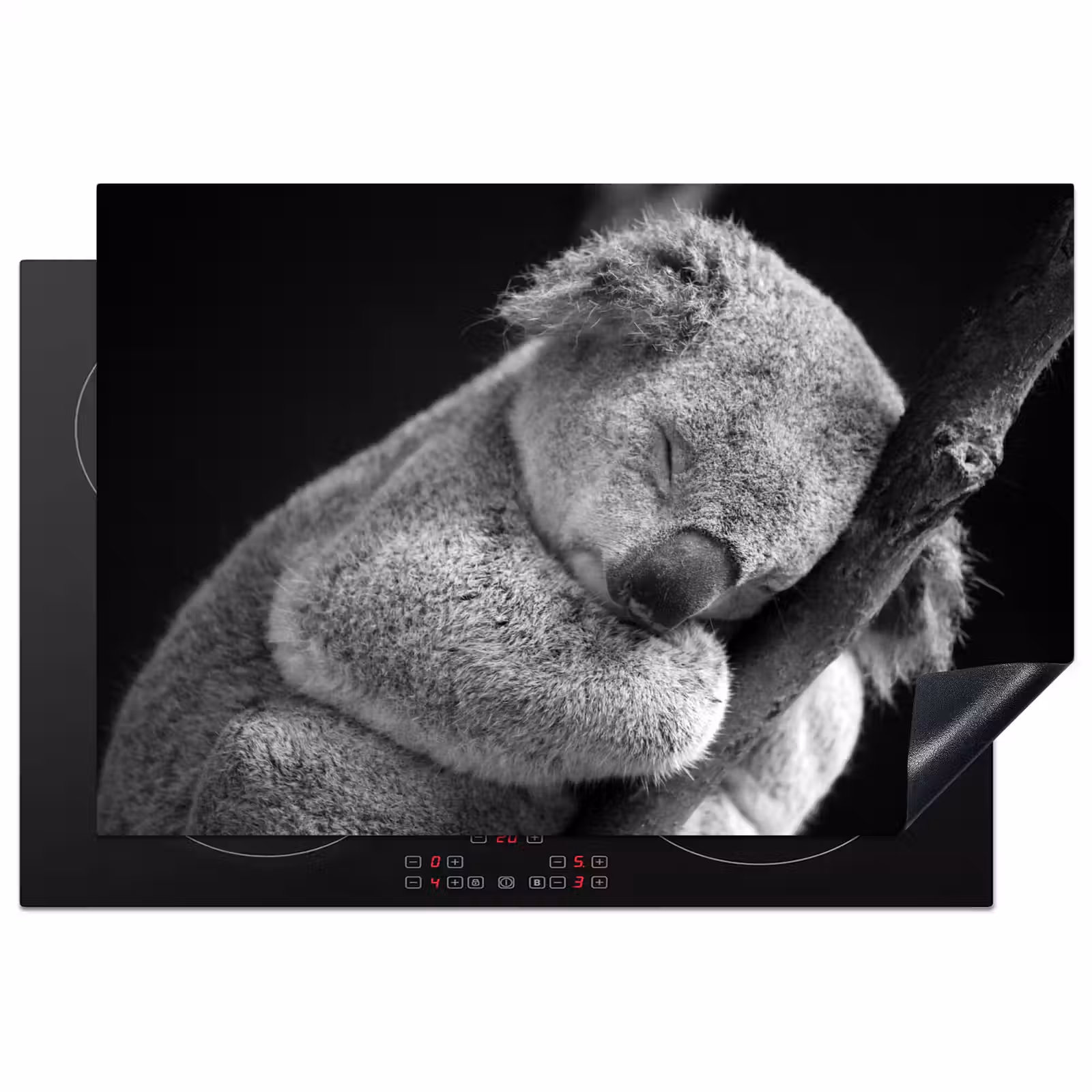 Inductie beschermer - Zwart - Wit - Koala — 1