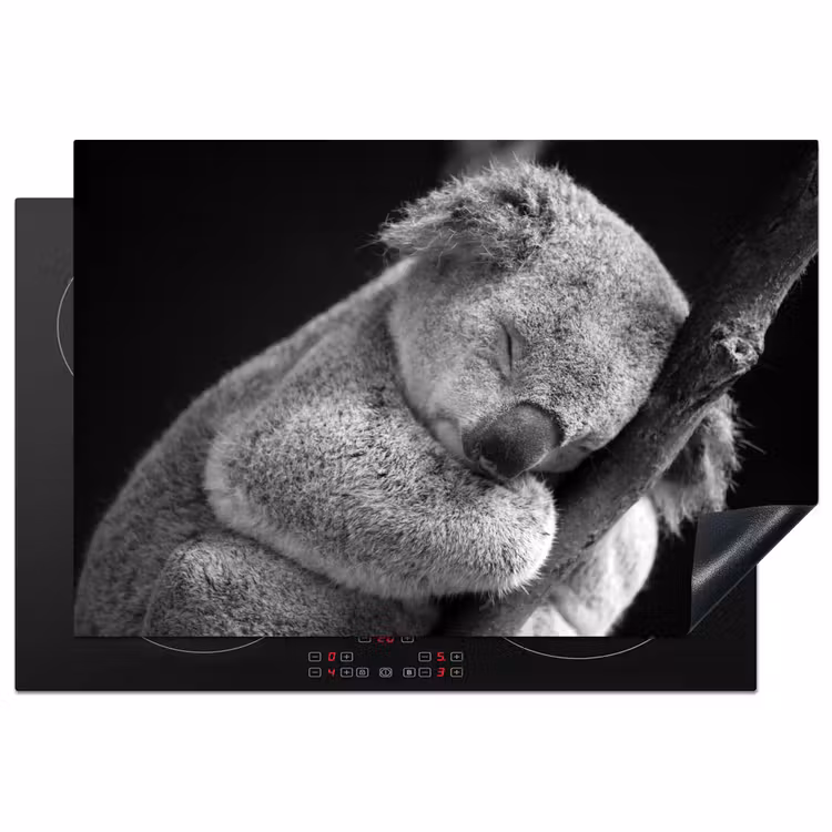 Inductie beschermer - Zwart - Wit - Koala — 1