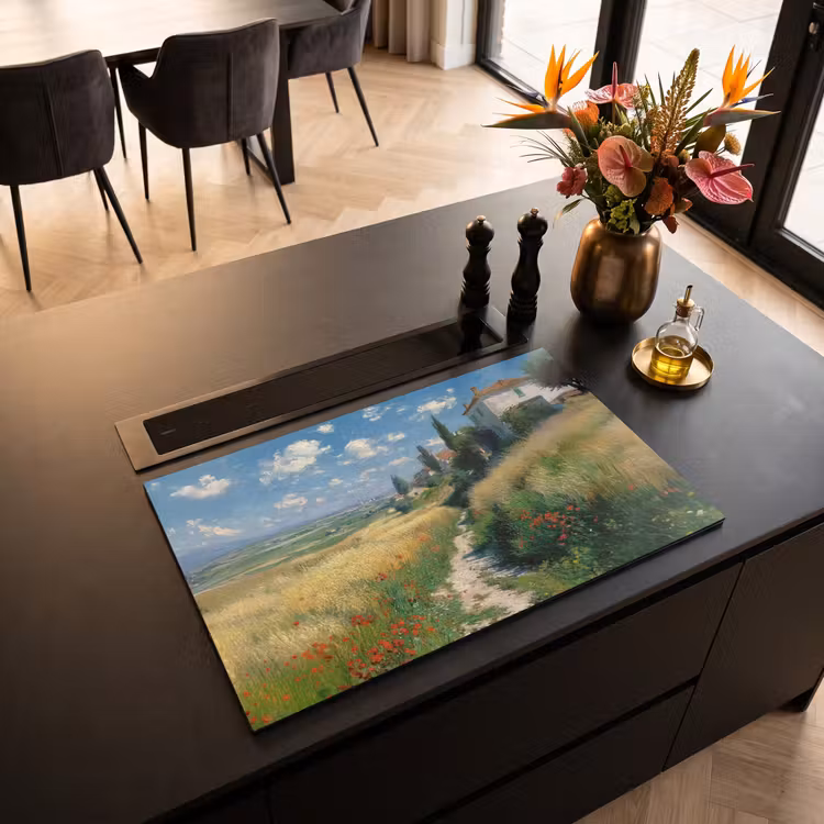 Inductie beschermer - Zandpad - Huis - Bomen - Grasveld — 3