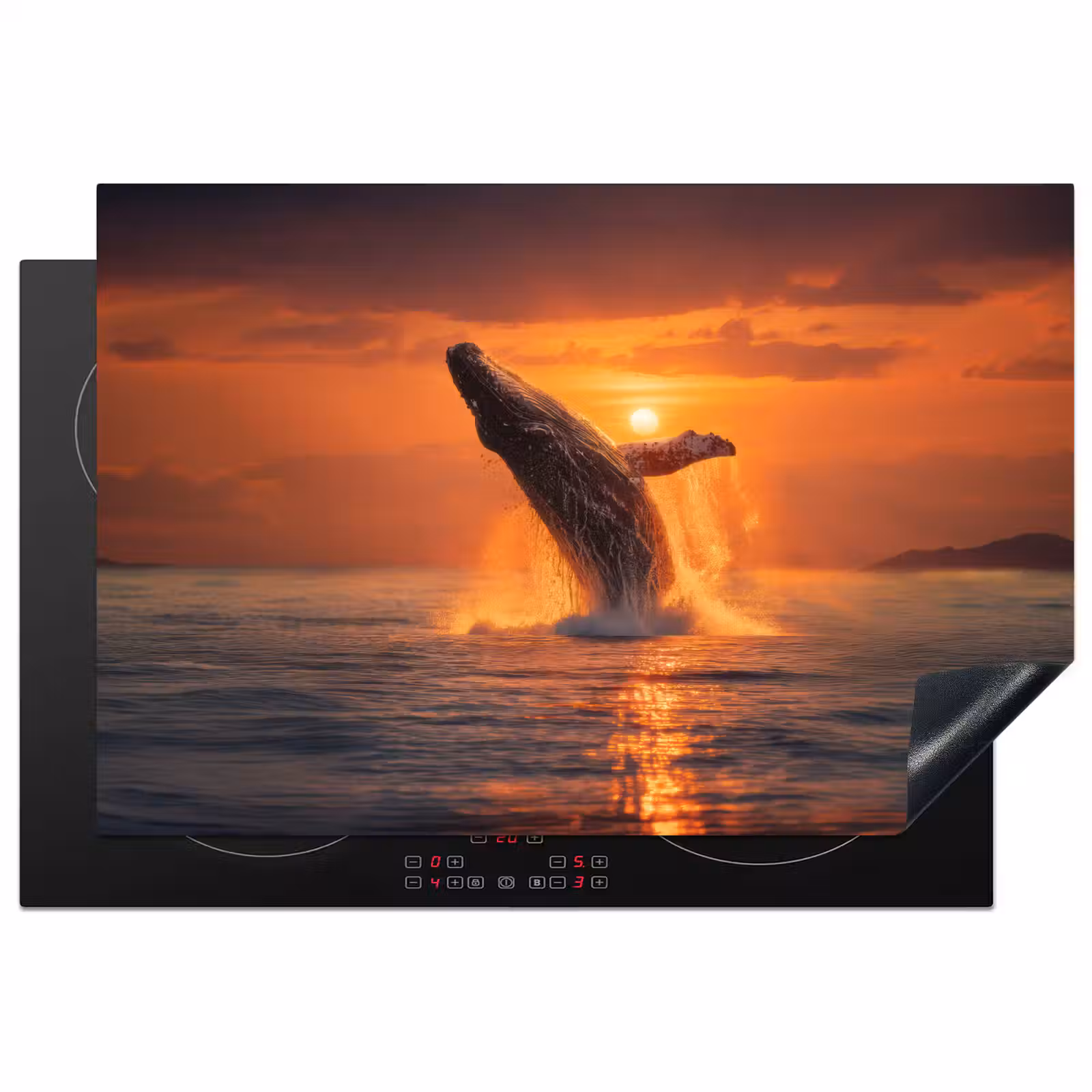 Inductie beschermer - Walvis - Zon - Zee — 1