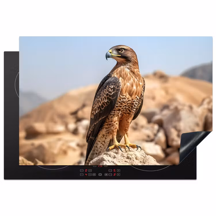 Inductie beschermer - Valk - Vogel - Rots - Macht — 1