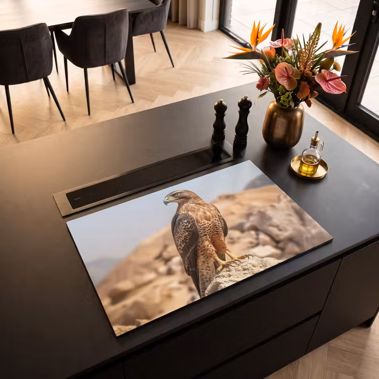 Inductie beschermer - Valk - Vogel - Rots - Macht — 3