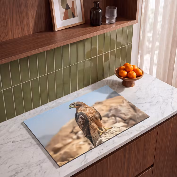 Inductie beschermer - Valk - Vogel - Rots - Macht — 4